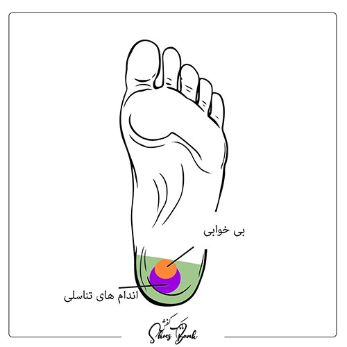 ماساژ پاشنه پا